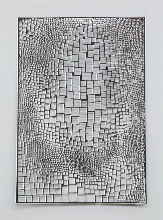 Skins of Nature – Black-White-Grey - Violetta Seliger 