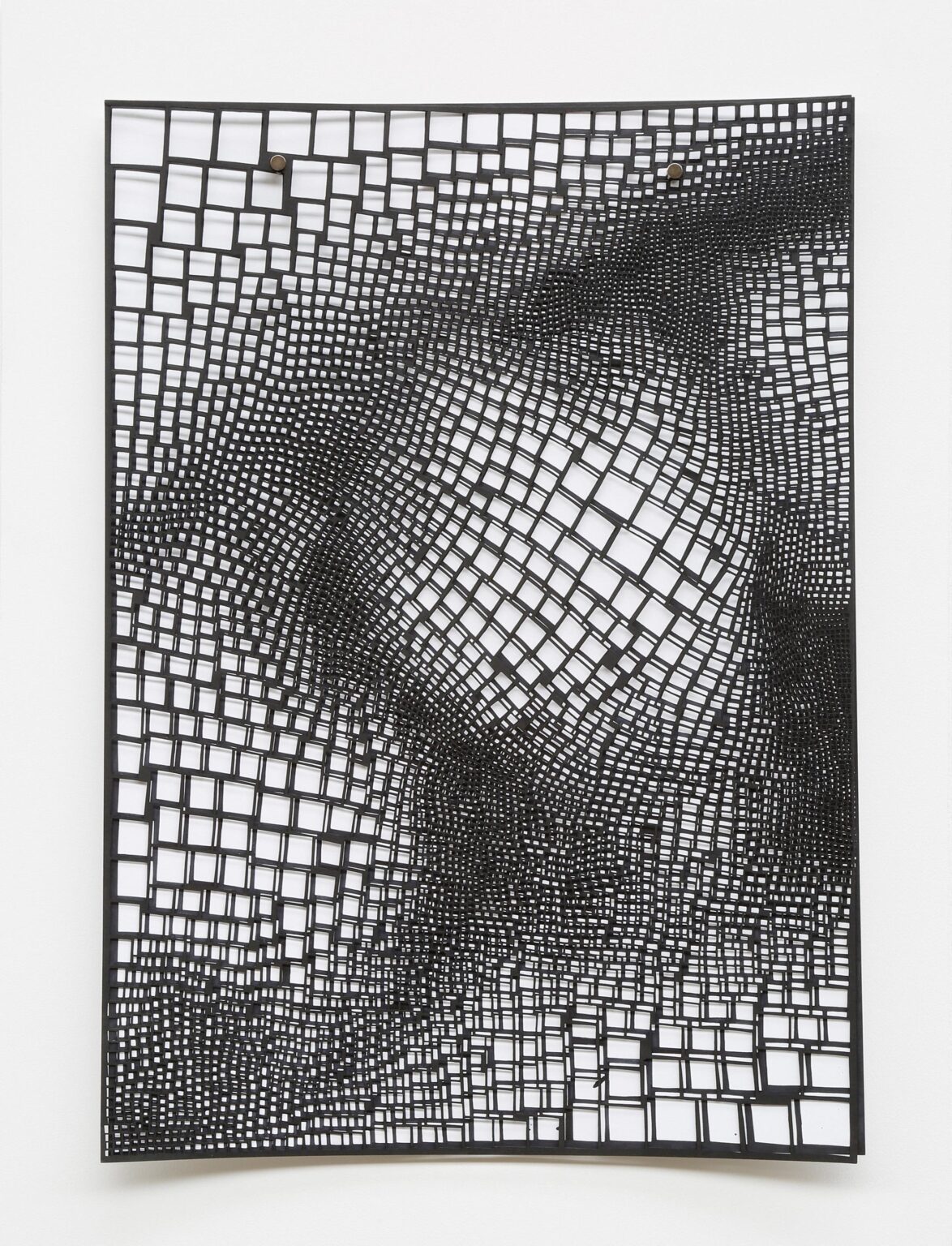 Skins of Nature &ndash; Black on Black and White I - Violetta Seliger 