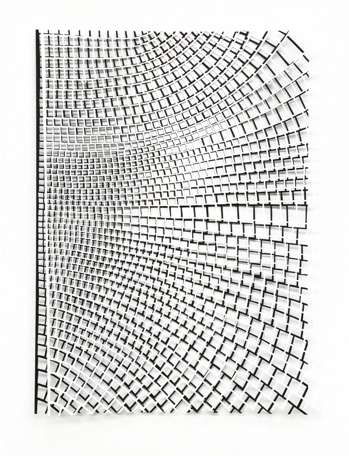 White on Black - Violetta Seliger 