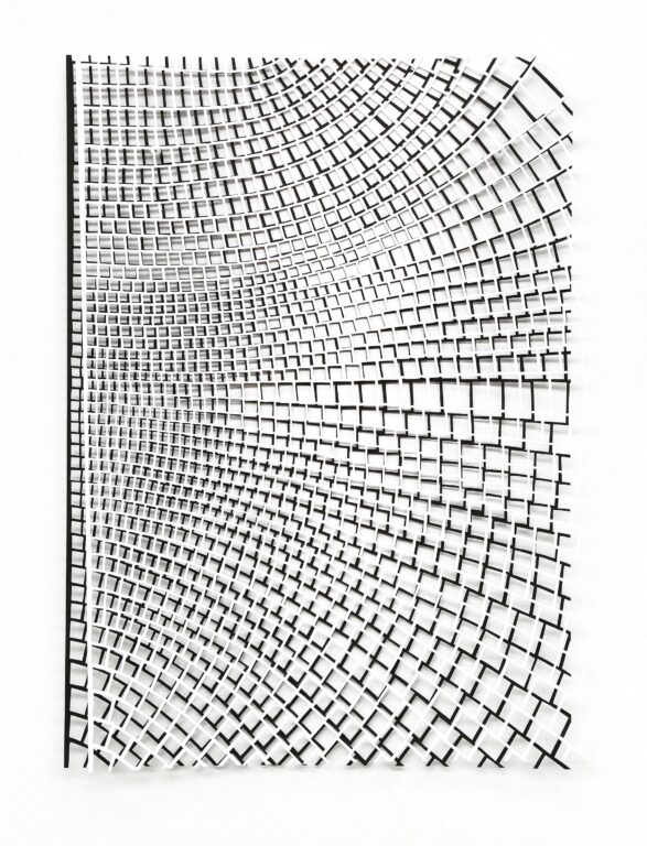 White on Black - Violetta Seliger 