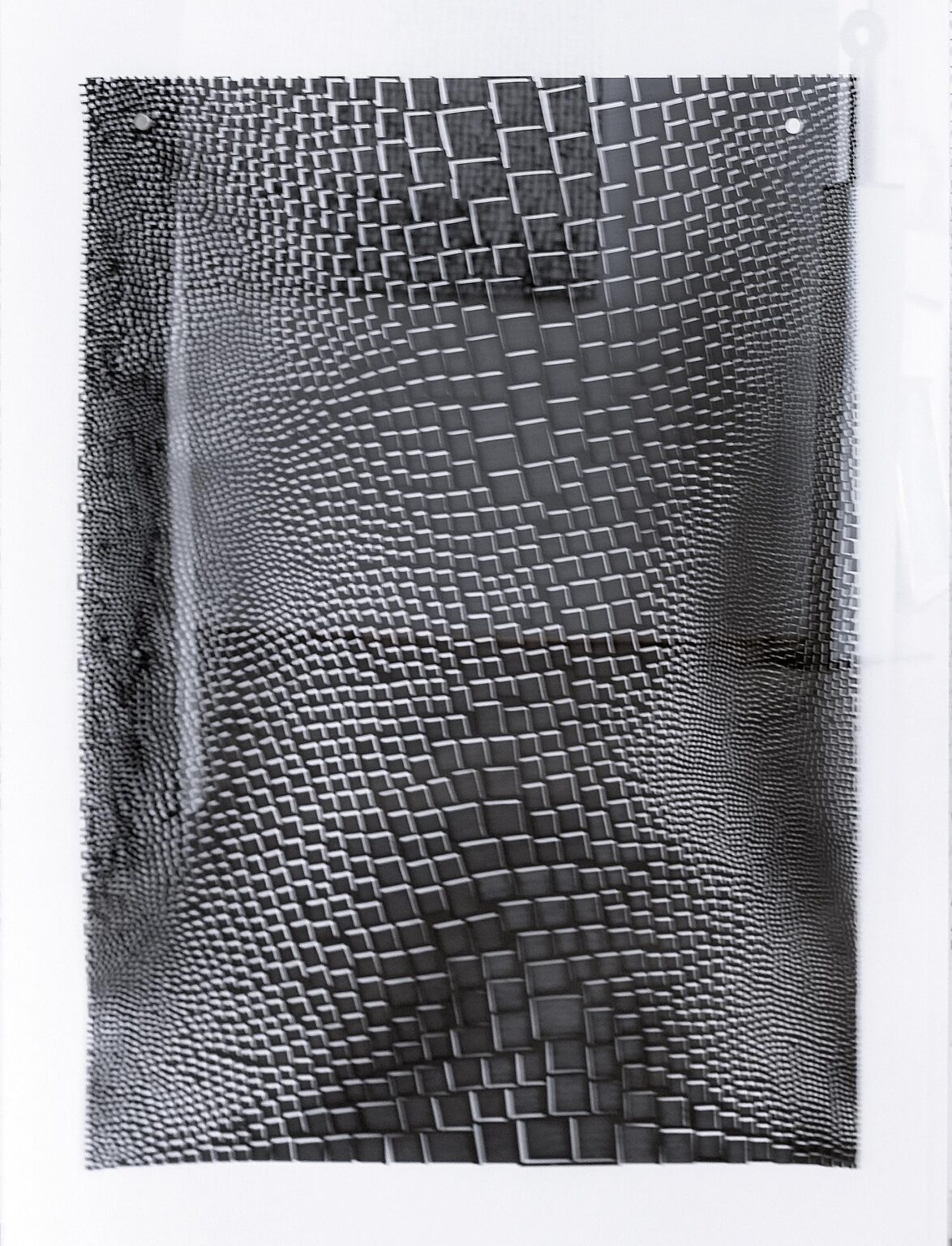 Black on Black and White II - Violetta Seliger 