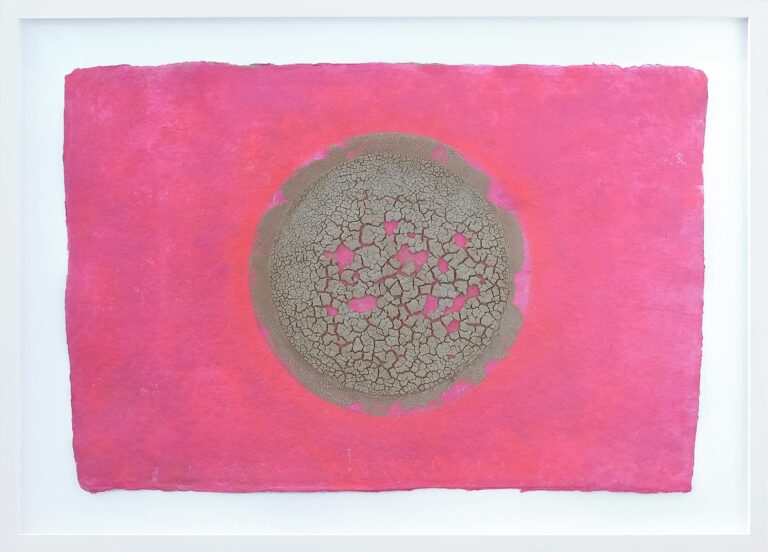 Climate image pink - Bernd C. Dietrich 